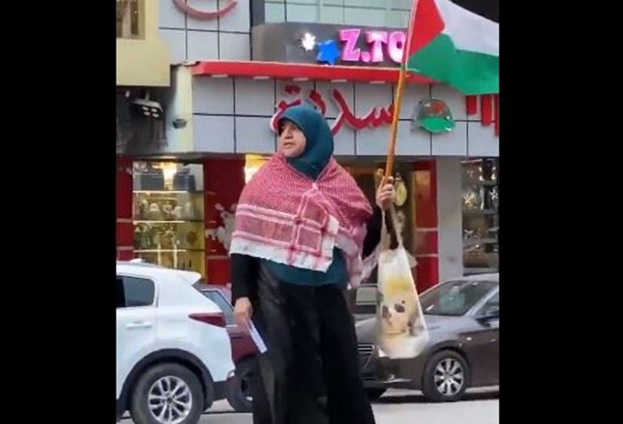 "فين النخوة وفين الدين"... سيدة مصرية تهتف وحيدة نصرةً لـغزة (فيديو)