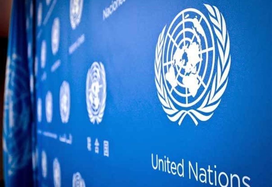 الأمم المتحدة تدعو حكومة اليمن والحوثيين لمحادثات سلام الأمم المتحدة تدعو حكومة اليمن والحوثيين لمحادثات سلام