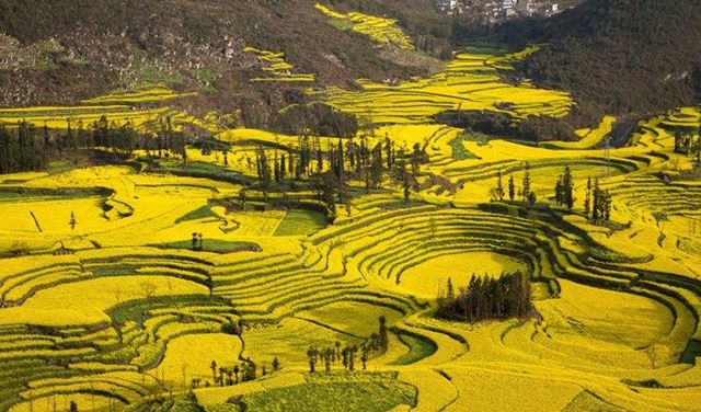 بالصور.. مدن العالم تستقبل الربيع