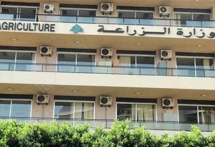 نداءٌ إلى وزارة الزراعة والقوى الأمنية