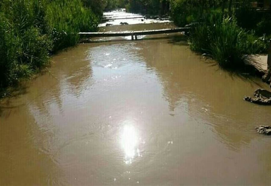 تعميم من الحسن 