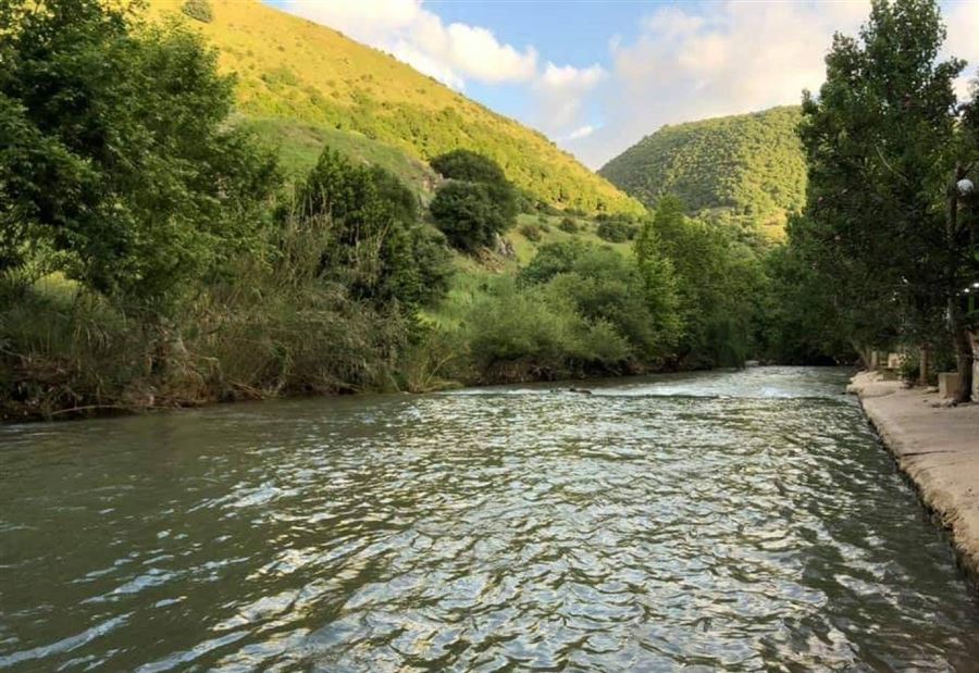كفرصير... بيانٌ بشأن مُصاب البلدة كفرصير... بيانٌ بشأن مُصاب البلدة