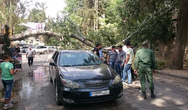بالصورة: سقوط شجرة معمرة... والأضرار؟ 