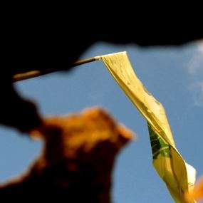 القرار لحزب الله في جامعة القديس يوسف