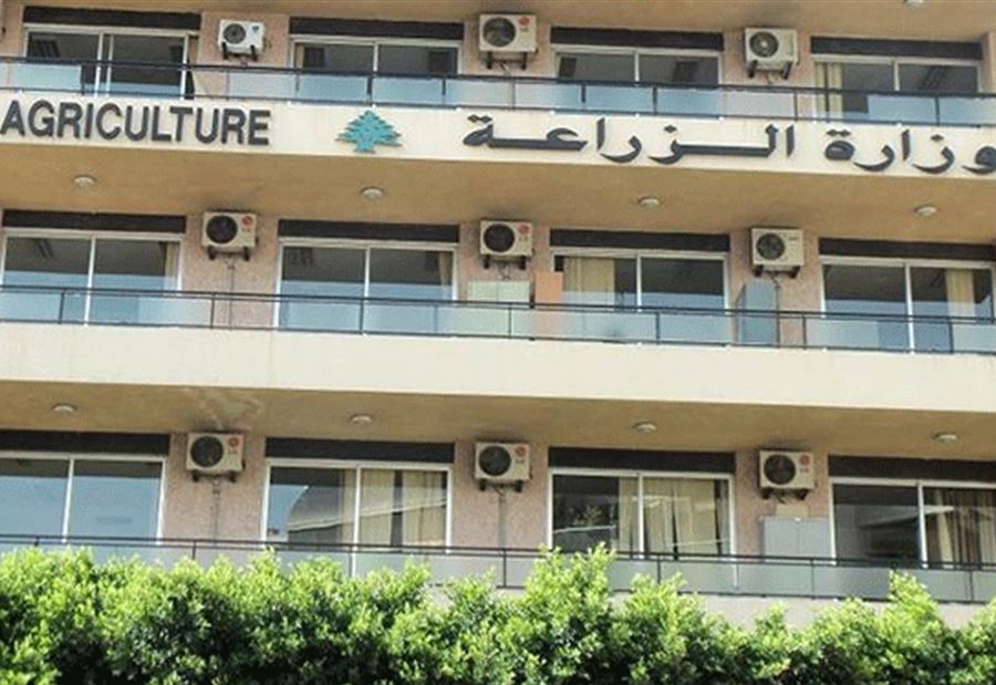 التفتيش يفاجئ "وزارة الزراعة"... ويضبط مخالفات  التفتيش يفاجئ "وزارة الزراعة"... ويضبط مخالفات