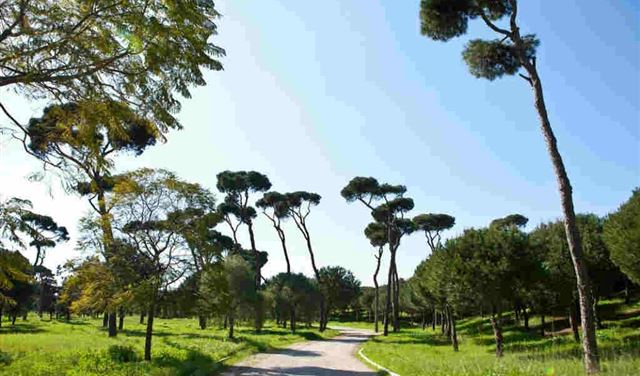 "الله يِسْتُر" !