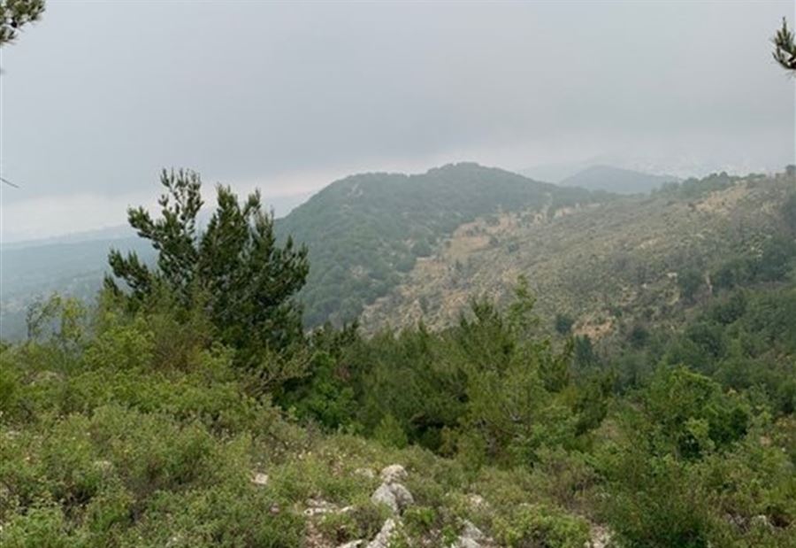 جنبلاط ينشر صوراً لطبيعة لبنان... ماذا يقصد؟
