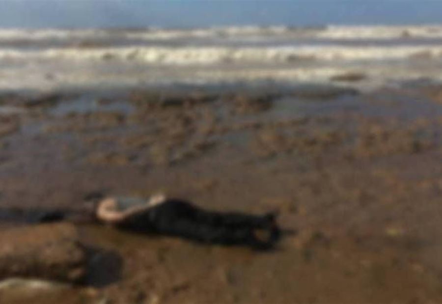 بالصورة: العثور على جثة سوري على شاطىء العريضة