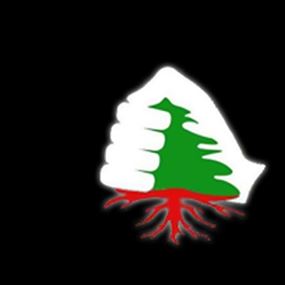 الأسعدي: مجلس الوزراء قادر على معالجة مصالح المواطنين