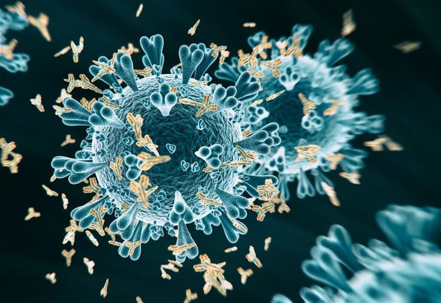 قراران بعزل بلدة لبنانية وتمديد عزل أخرى  قراران بعزل بلدة لبنانية وتمديد عزل أخرى