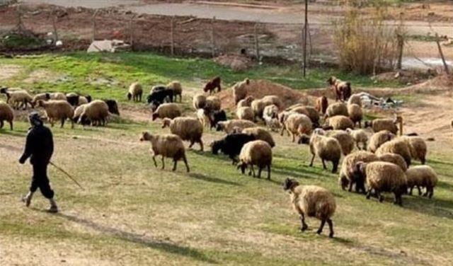 نجاة راع لبناني من إطلاق نار اسرائيلي