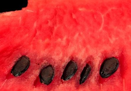 5 طرق ناجحة لاختيار بطيخة حمراء