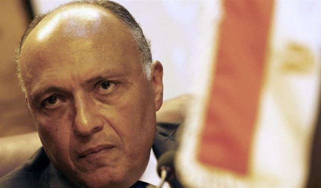 القاهرة تقود حراكا "عميقا وهاما" لحل الأزمتين السورية والليبية