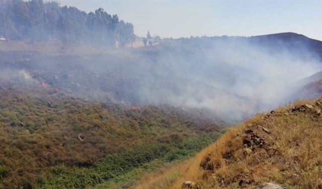بالصور: حريق كبير في بساتين زيتون في الغزيلة العكارية