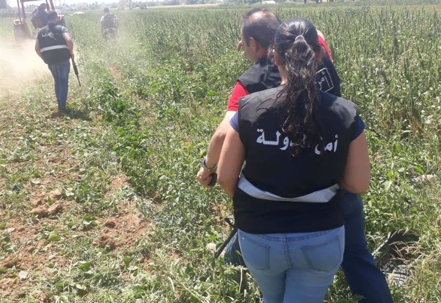 بالفيديو والصور: اتلاف مرتديلا وأرض مزروعة بالخضار في المرج  بالفيديو والصور: اتلاف مرتديلا وأرض مزروعة بالخضار في المرج