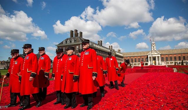 بركان نشط من الزهور بركان نشط من الزهور