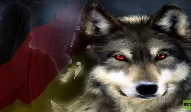 ذئاب ألمانيا مختلة عقليا! ذئاب ألمانيا مختلة عقليا!