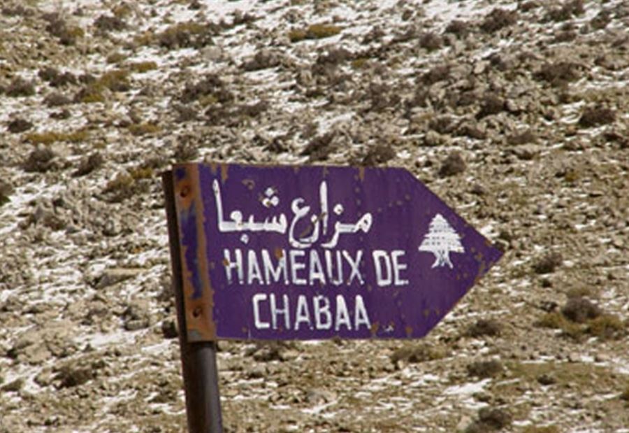 الجيش الإسرائيلي يخطف راعيين من شبعا