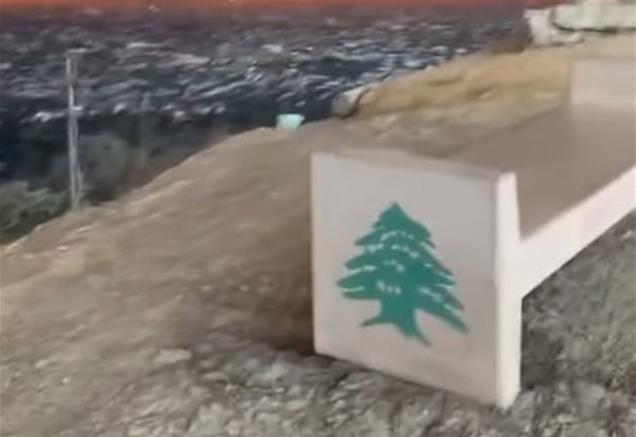 بالفيديو: أرزة لبنان وسط الحرائق في لوس أنجلوس!