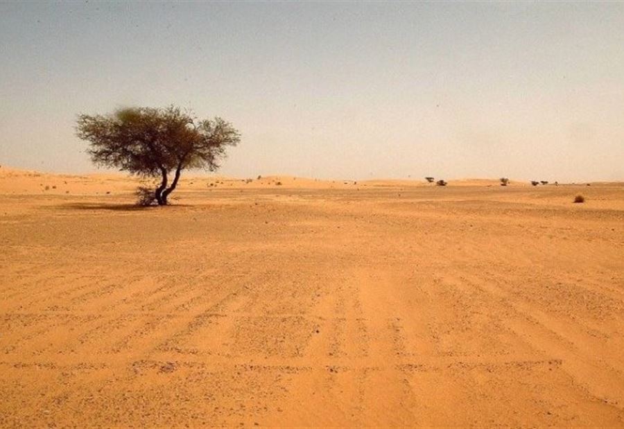 سعودي وكويتي خطفا بالعراق... اليكم التفاصيل!