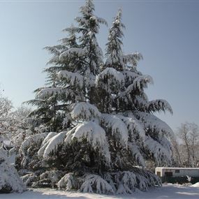 أمطار وعواصف وثلوج... كيف سيكون الطقس ؟