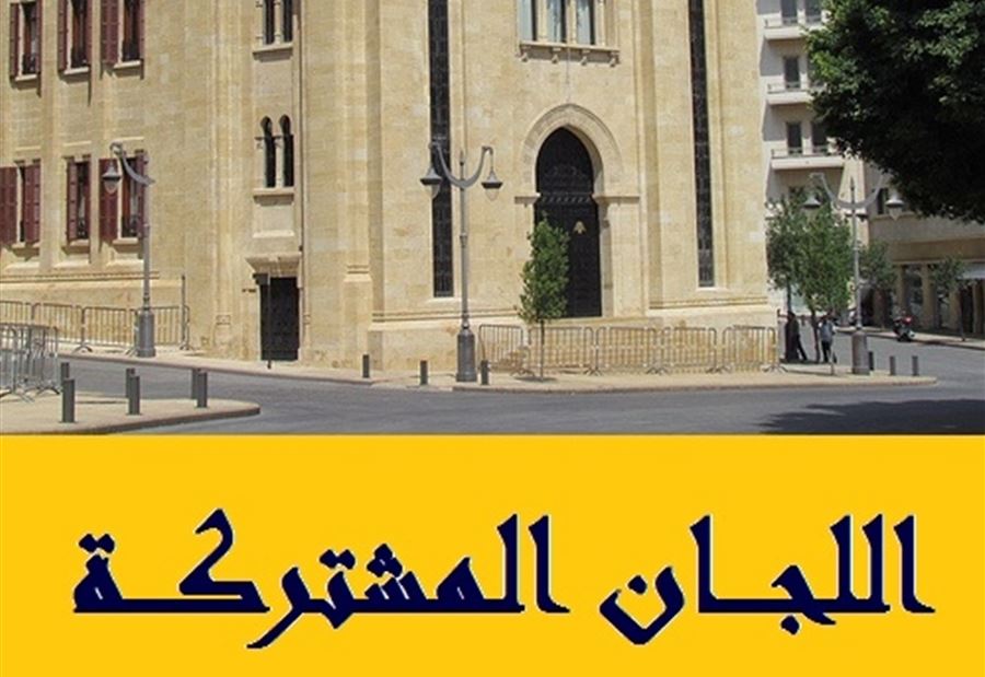 فرعية اللجان أعدت صيغة للهيئة الوطنية للمياه 