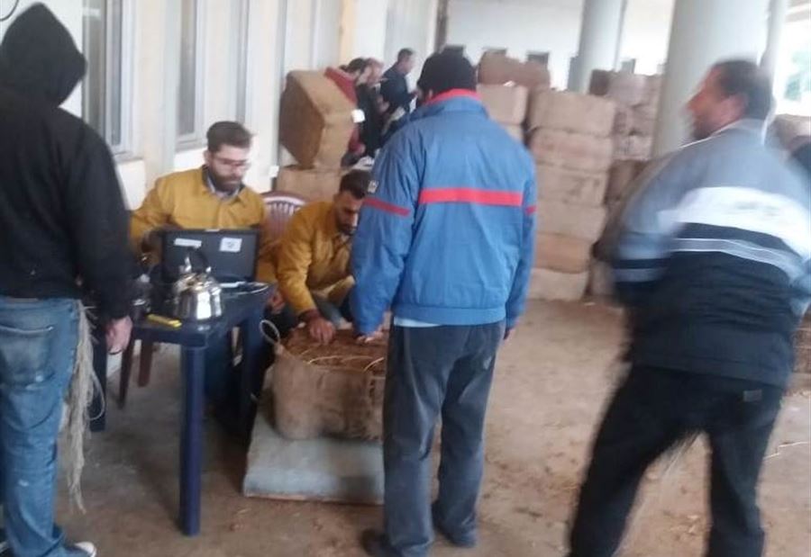 إدارة حصر التبغ تسلمت من مزارعي البترون وجبيل محاصيل الانتاج