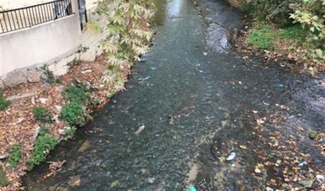 نهر رشعين.. يهدد جيرانه نهر رشعين.. يهدد جيرانه