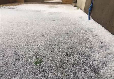 حبات البرد تتلف محصول التفاح في جرود بقاعكفرا