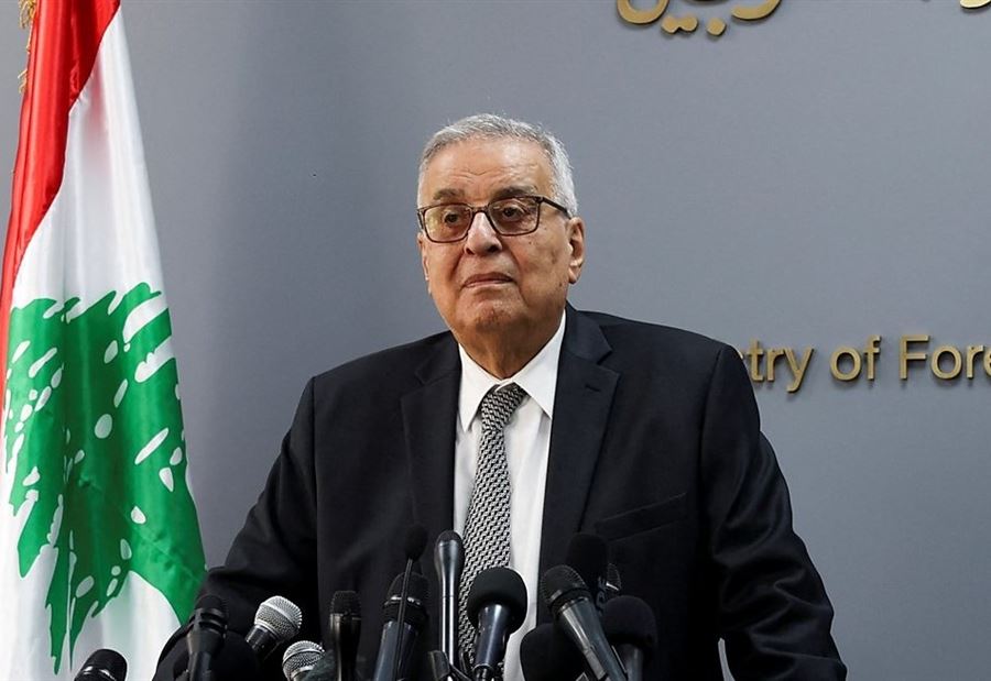 بو حبيب: لإظهار الحدود بين لبنان واسرائيل