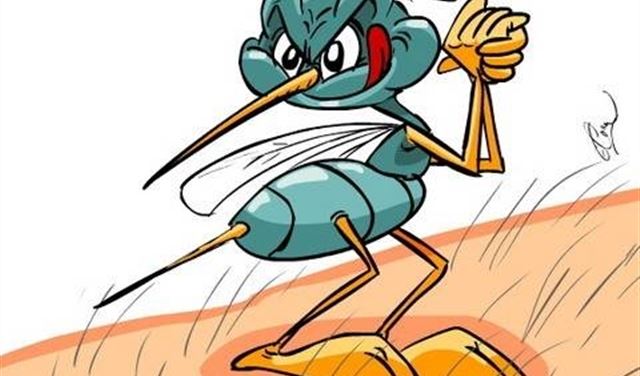 "البرغش" يحب 4 أنواع من البشر!