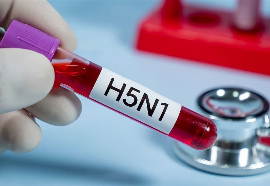 "H5N1"... سلالة جديدة من إنفلونزا الطيور