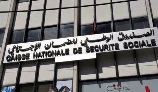 محاضر وجاهية في حق المخالفين محاضر وجاهية في حق المخالفين