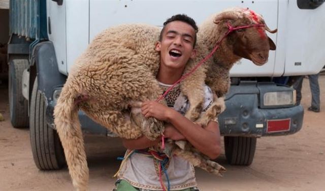 8 ظواهر فرضها الإنترنت على عيد الأضحى