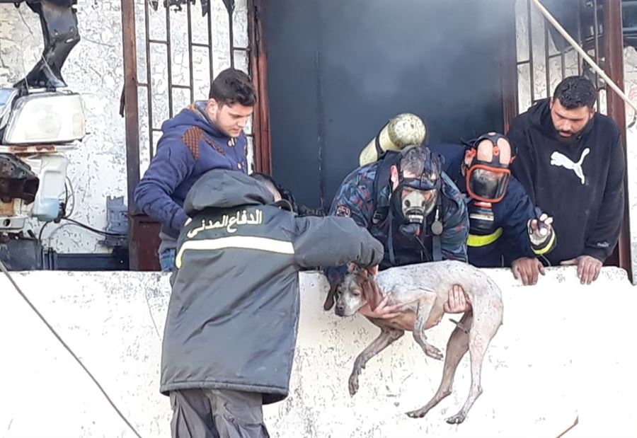بالصورة: إخماد حريق وإنقاذ كلبتي صيد من النيران