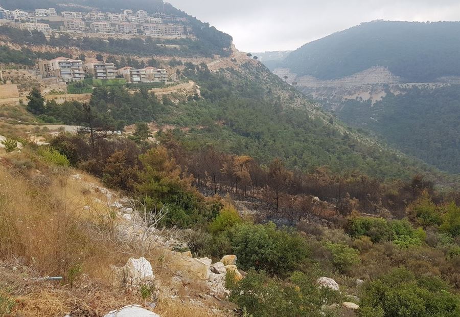 بالصور: بعد يومين على اشتعاله ... إخماد النيران في أحراج نابيه 
