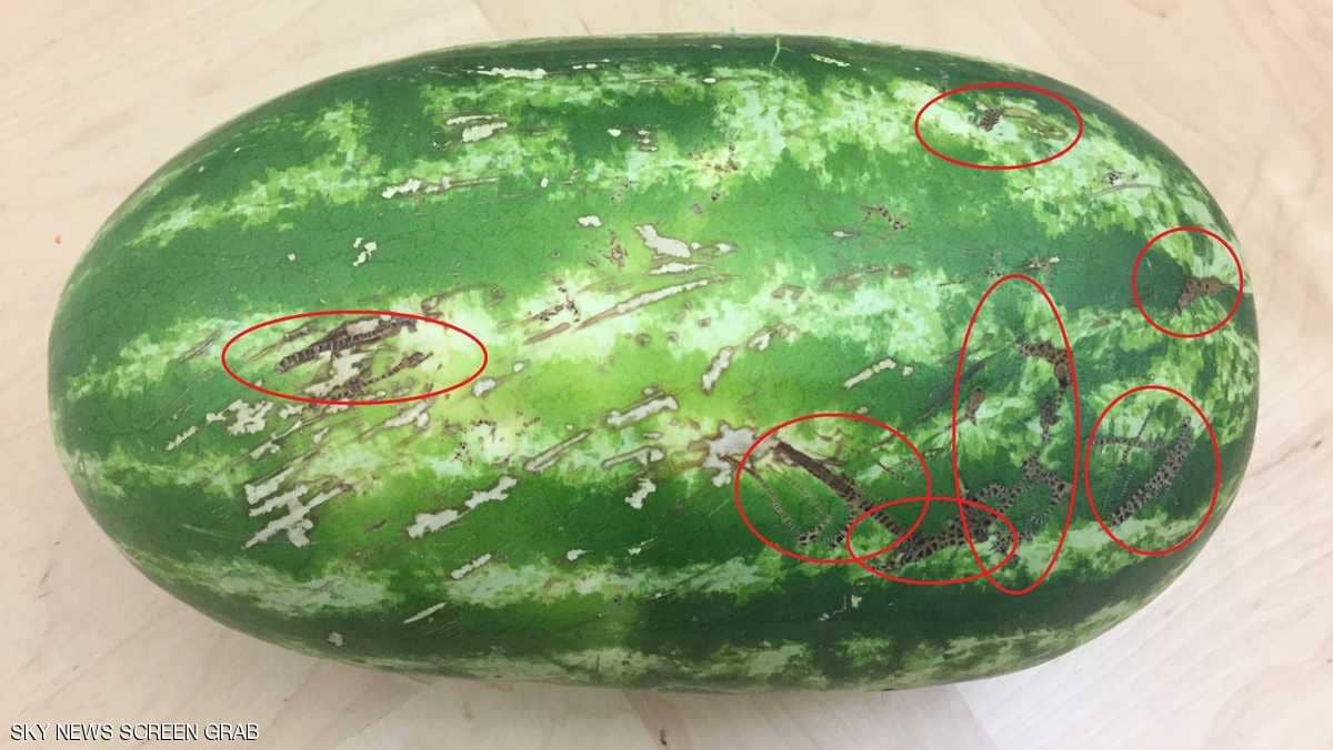 بنظرة فقط... علامة لا تخطئ لاختيار البطيخة الحمراء