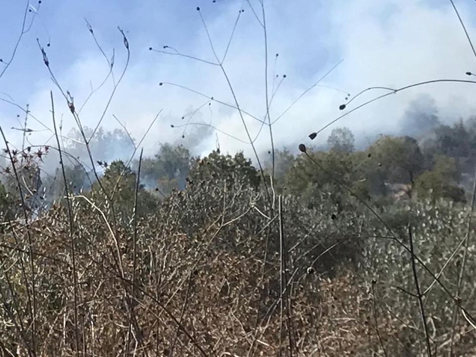 بالصور: حريق اشجار زيتون وسنديان بين عيتا الشعب ورميش
