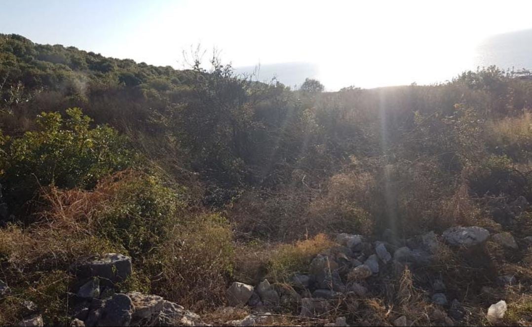 بالصور: حريق قندول وبلان في المنصف