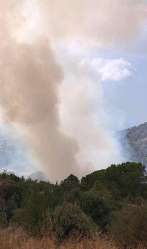 بالصور: حريق كبير في أحد أحراج عين الريحانة