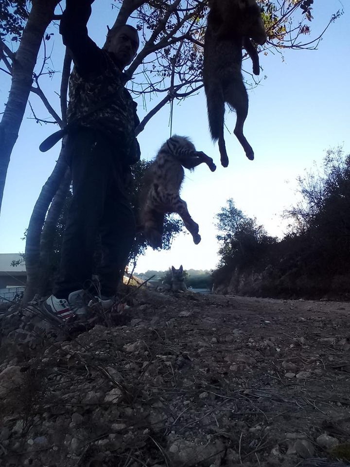 بعد التباهي بقتل ضبعين.. دعوى ضد القاتل