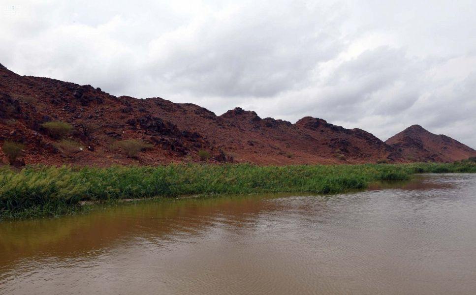 شاهد كيف رسمت الأمطار صورا رائعة بأودية المدينة المنورة