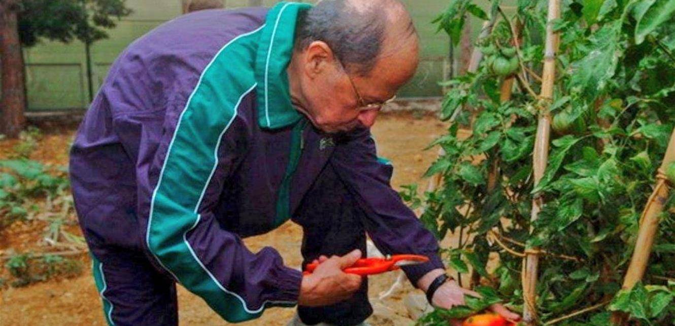 عون الرئيس السابق في الربع الخالي