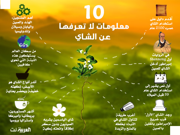 إنفوغرافيك.. 10 معلومات لا تعرفها عن الشاي إنفوغرافيك.. 10 معلومات لا تعرفها عن الشاي