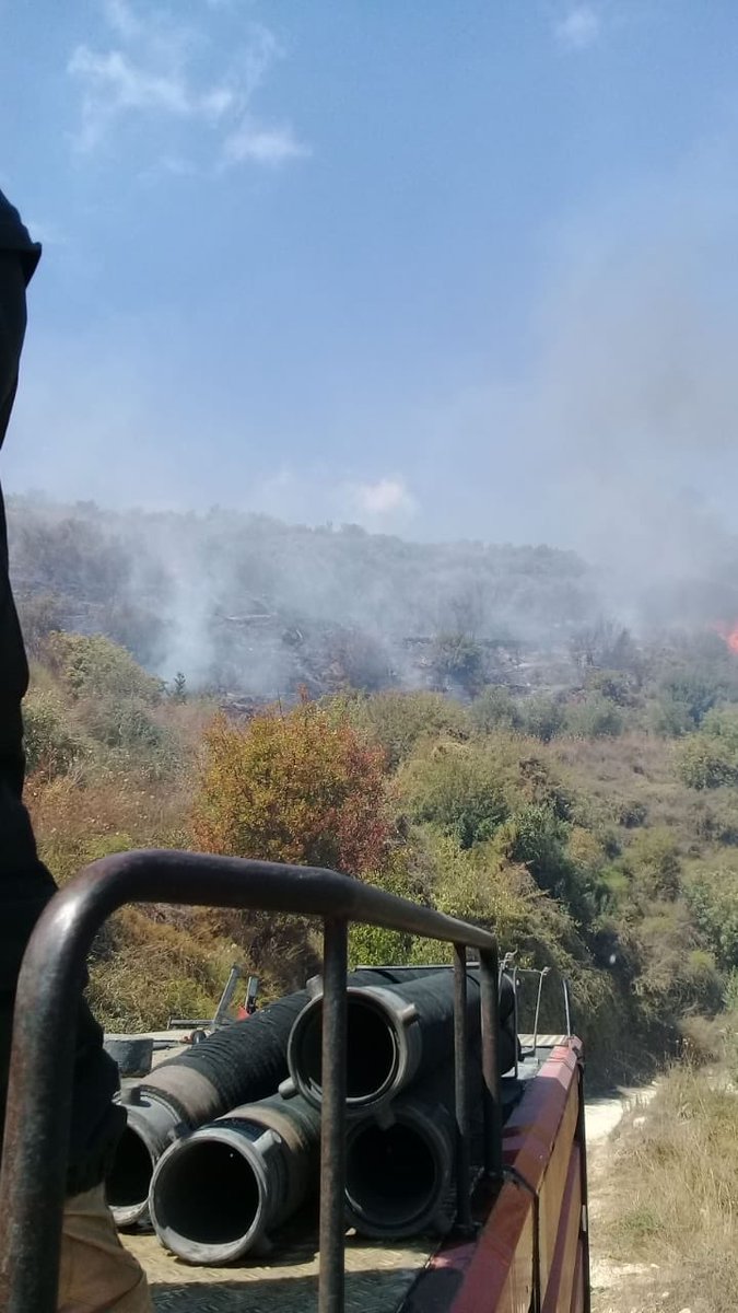 بالصور: حريق اشجار حرجية و زيتون في كفرحاتا