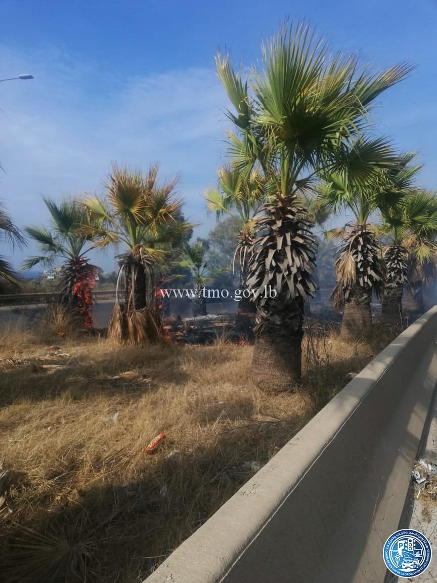 بالصور: حريق أعشاب بالجزيرة الوسطية في أنفة