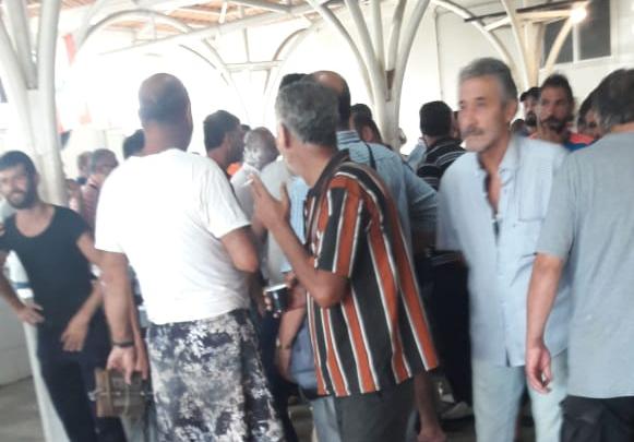 إشكال صباحي في صيدا بسبب كمية من الأسماك إشكال صباحي في صيدا بسبب كمية من الأسماك