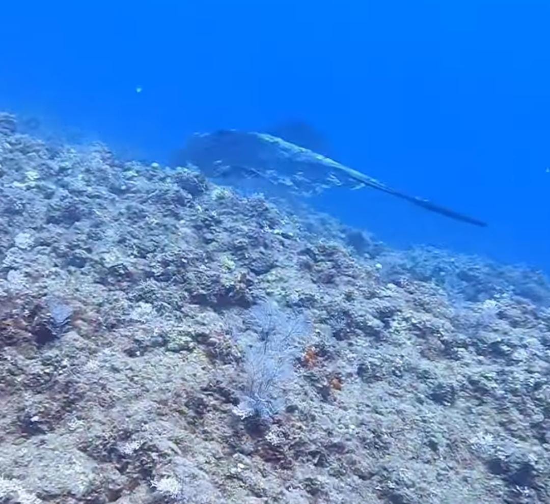 صور مقصد آلاف السيّاح: شاطئ واسترخاء وكنوز بحرية